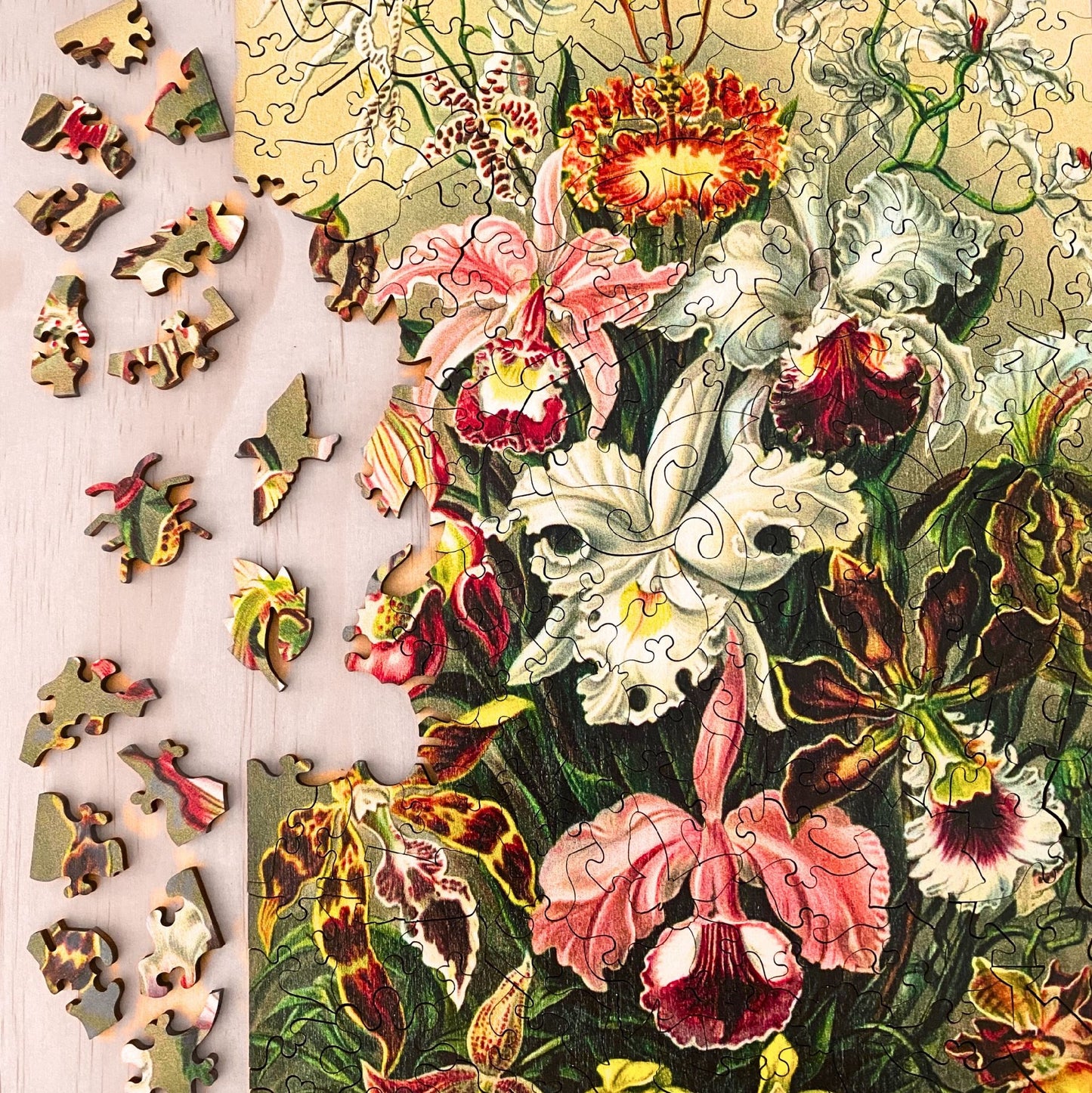 TWIGG PUZZLES - ORCHID JIGSAW 219PC