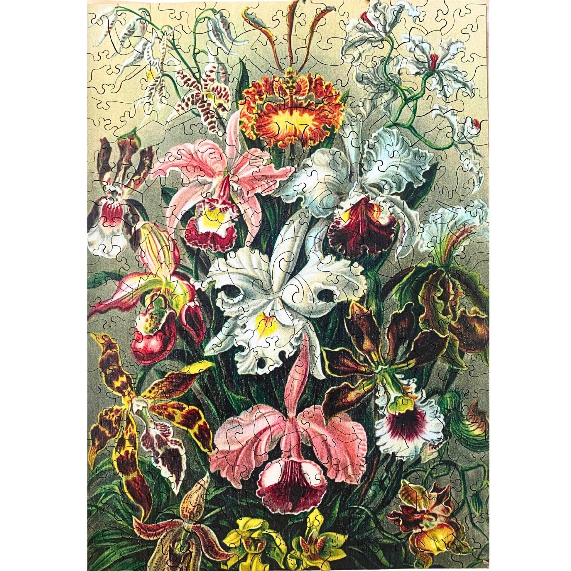 TWIGG PUZZLES - ORCHID JIGSAW 219PC
