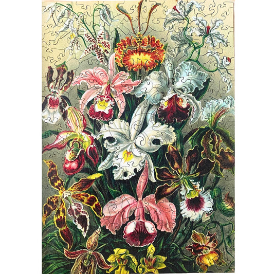 TWIGG PUZZLES - ORCHID JIGSAW 219PC