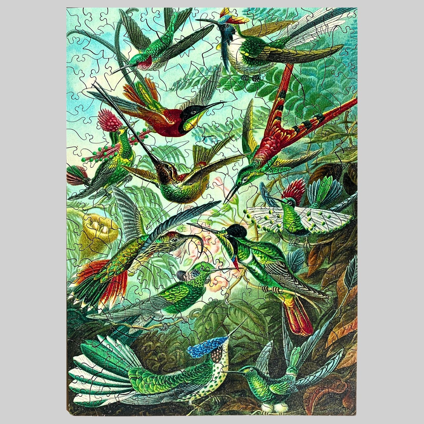 TWIGG PUZZLES - HUMMINGBIRDS JIGSAW 228PC